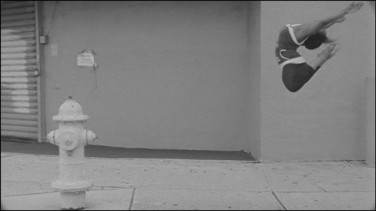 Dara Friedman’s “Perfect Stranger” Is PAMM’s Largest Showcase of a Miami Artist