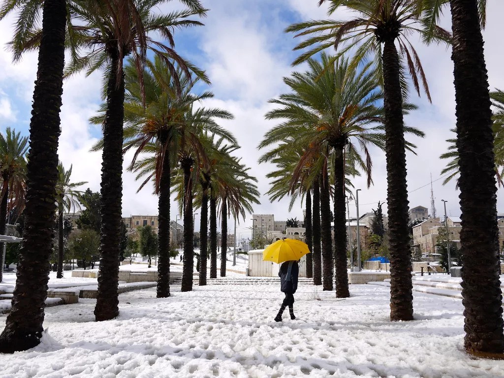 It’s So Cold There’s a Damn Frost Advisory in Miami-Dade Tonight