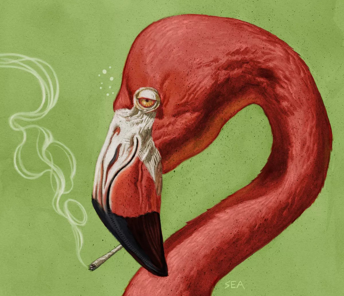 The Insane History of Marijuana in Florida