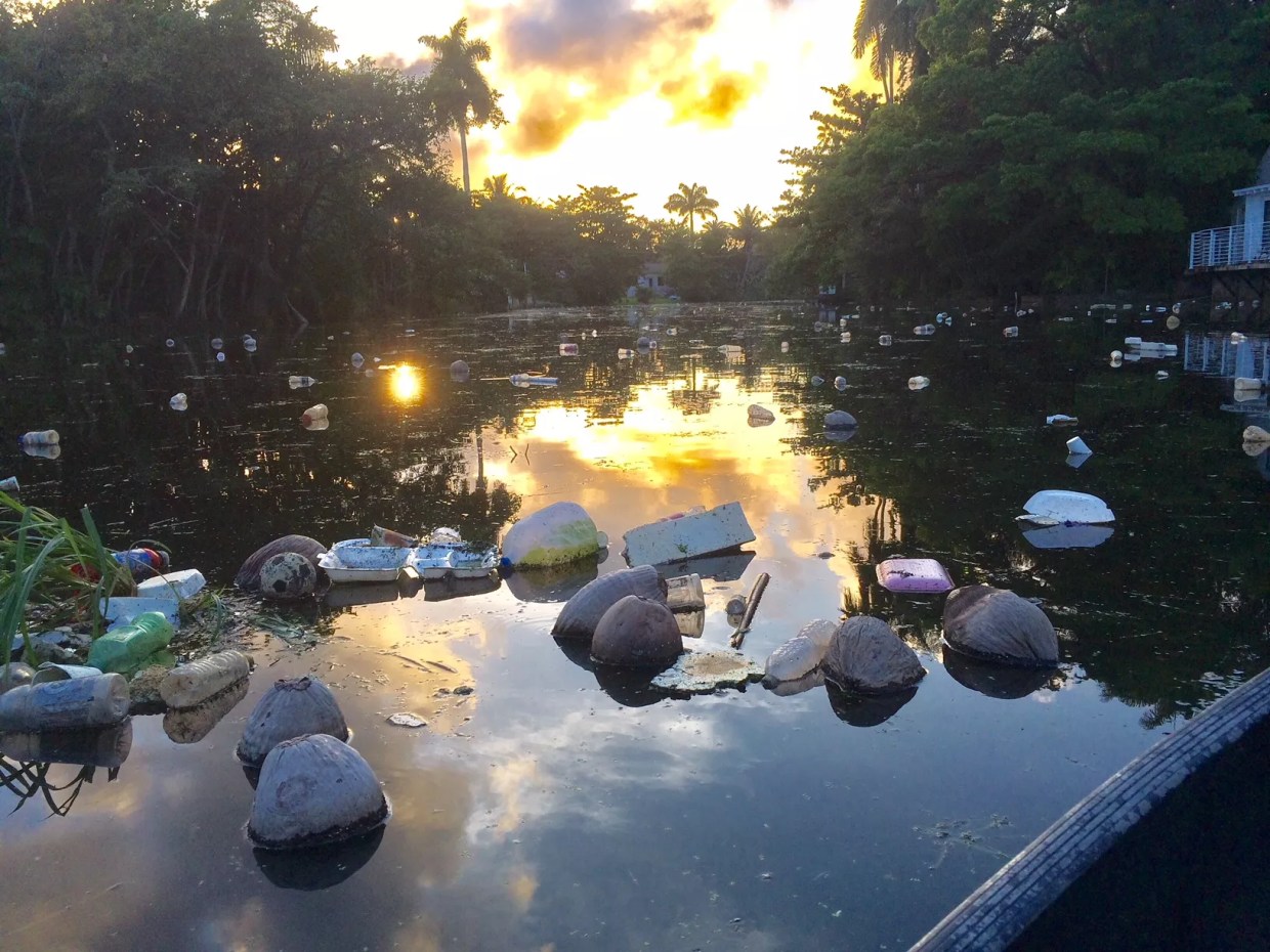 Giant Piles of Floating Trash Are Clogging Little River in El Portal