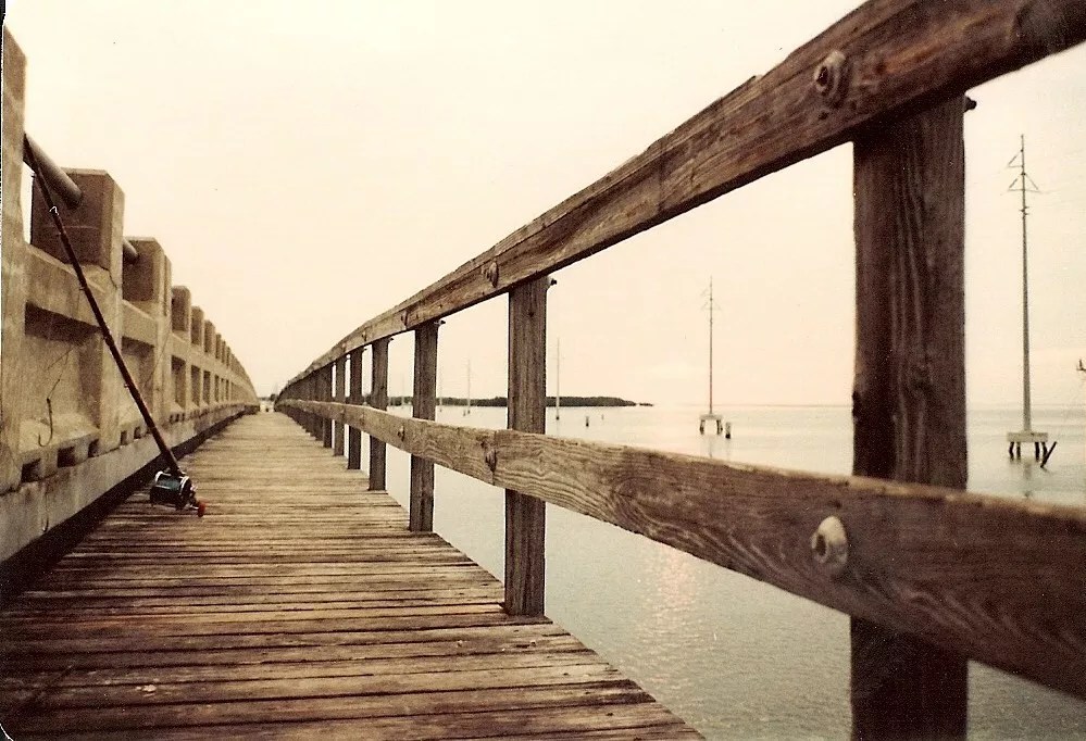 <i>South Beach Shark Club</i> Documentary Gets the Seal of Approval From Billy Corben