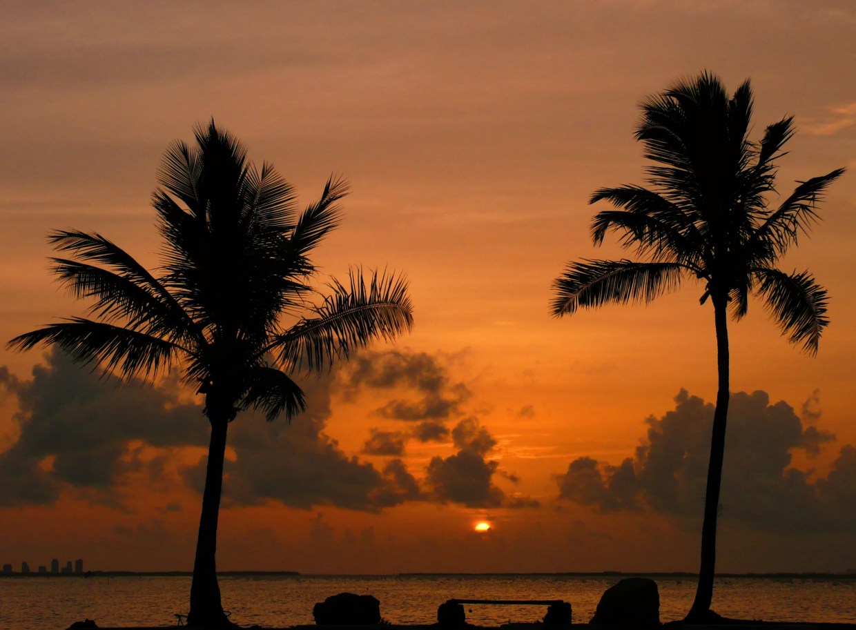 Extreme Heat in Miami Will Only Get Worse, Scientists Warn UPDATED