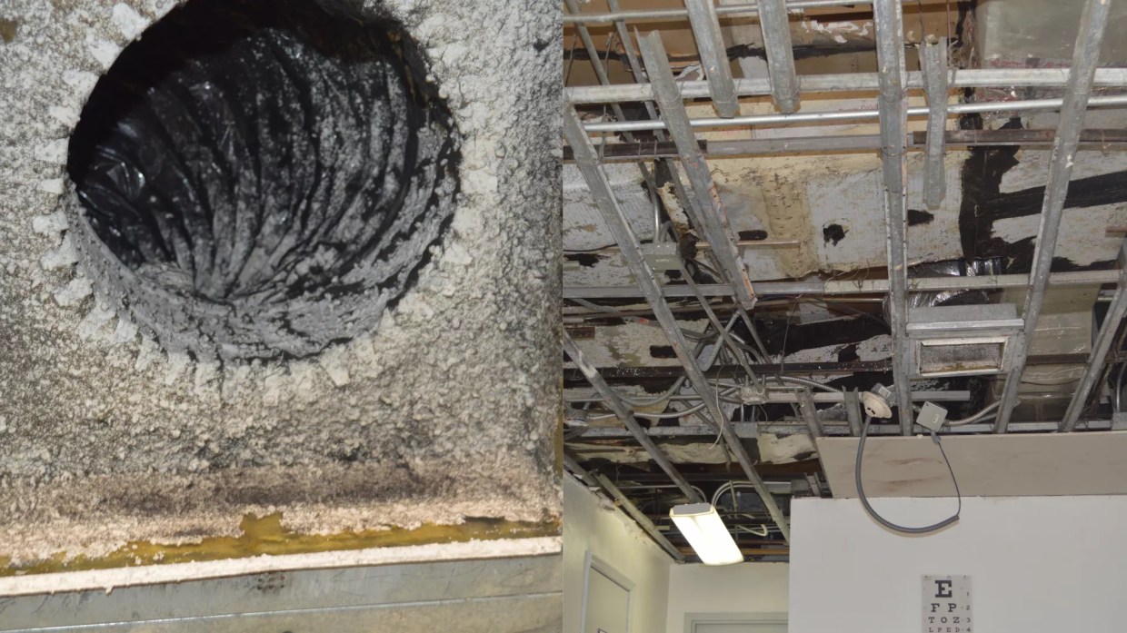 Miami’s Main Federal Prison Again Cited for Mold Outbreaks