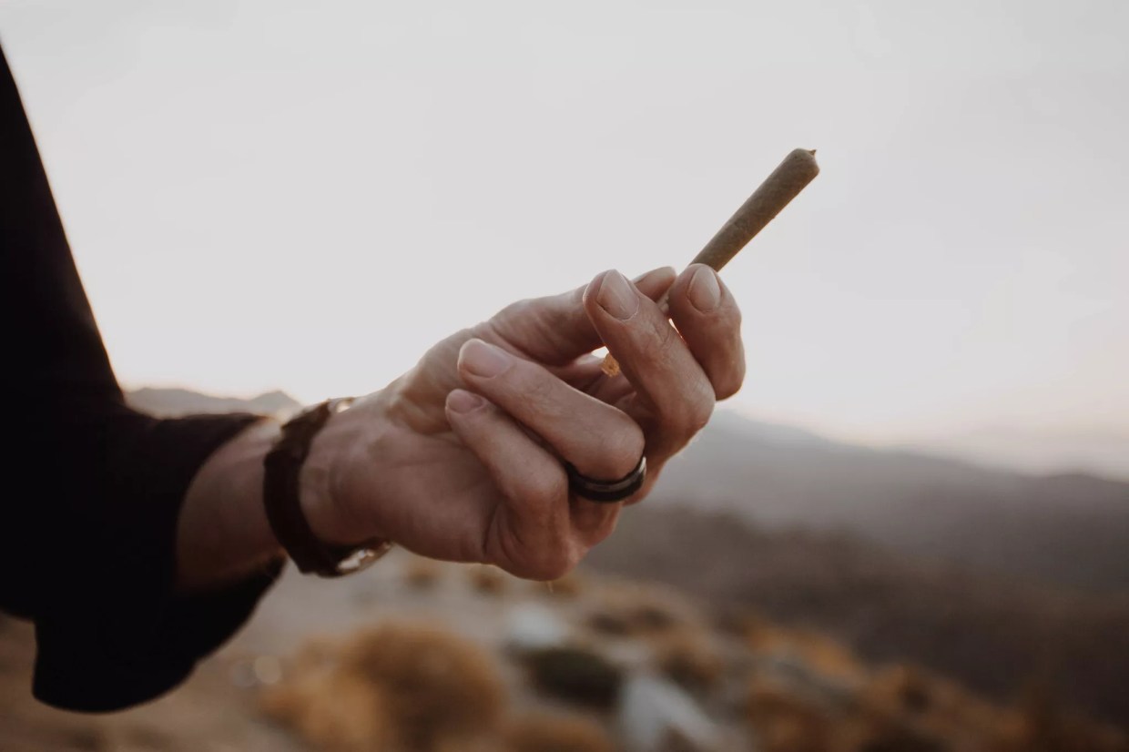 Five Bills That Would Change Florida’s Marijuana Laws