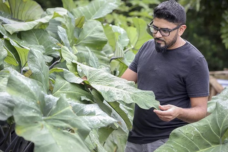 Ghee’s Niven Patel to Open Wood-Fired Orno and Island-Style Mamey in Coral Gables