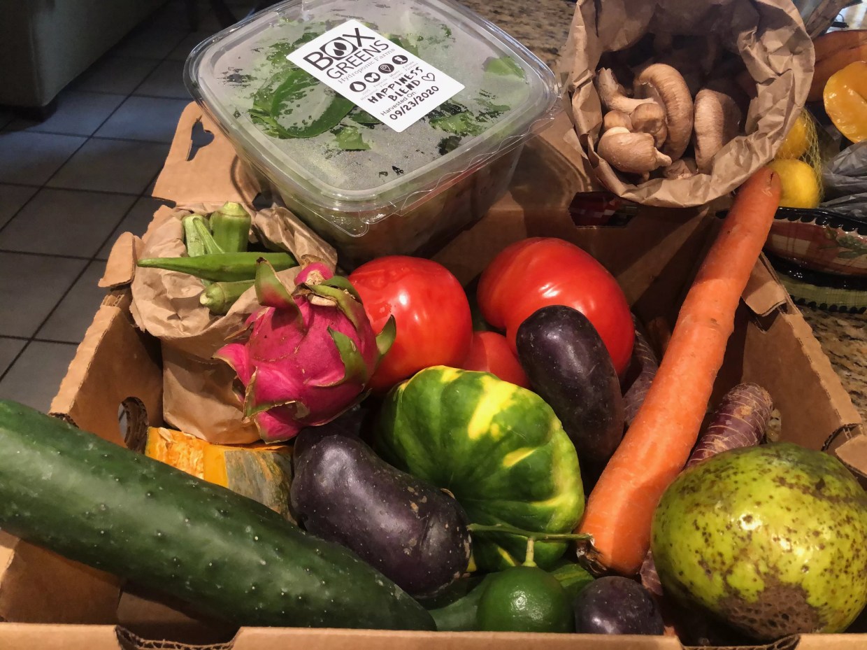 Urban Oasis Project Launches CSA Program