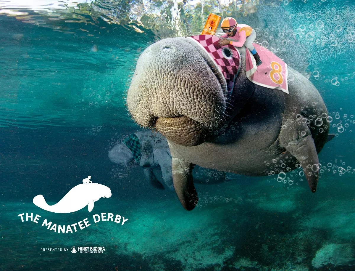 Funky Buddha Hosts a Manatee Derby with ‘N Sync’s Chris Kirkpatrick and Joey Fatone