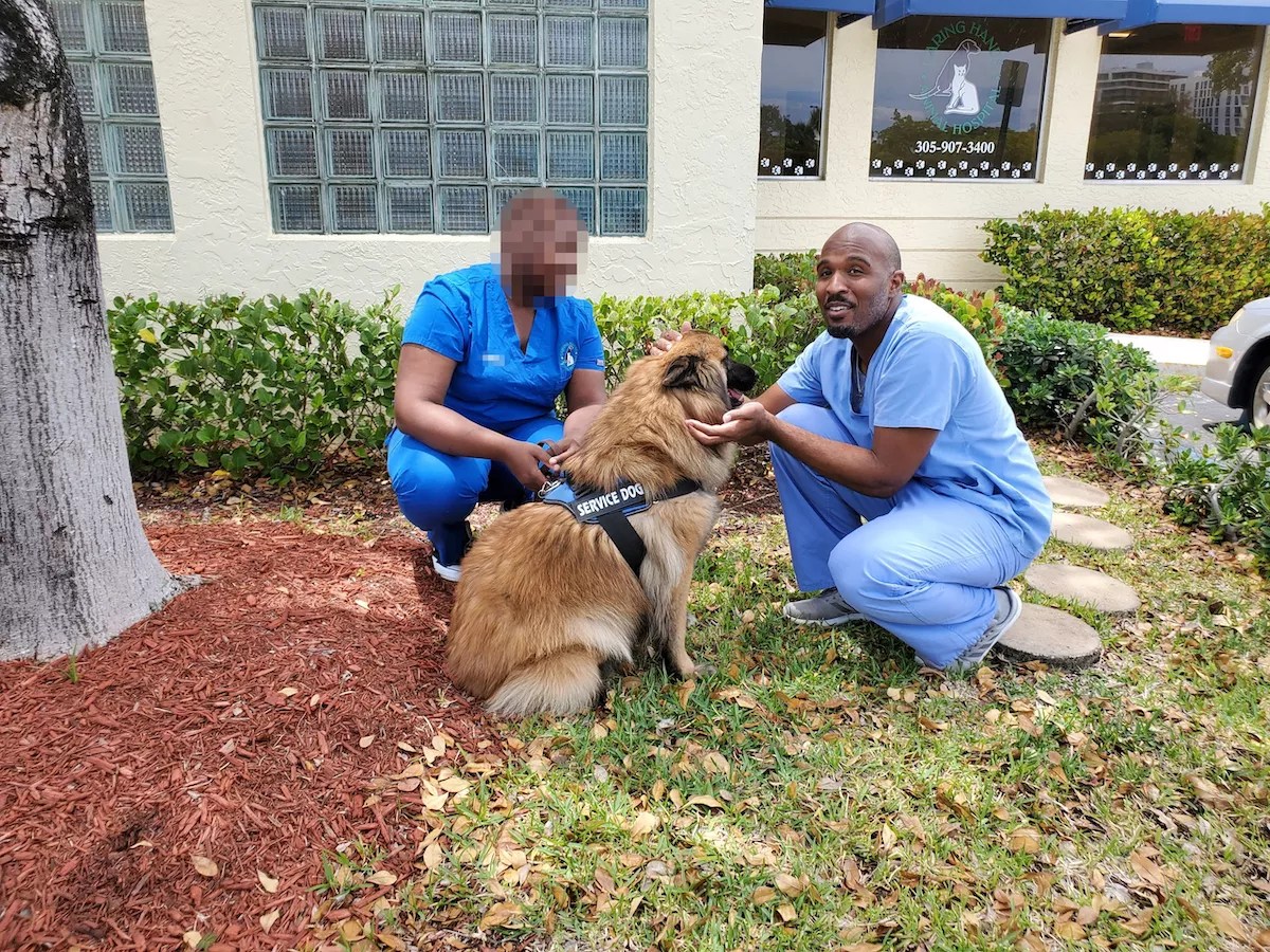 Pet Owners Fear Their Dogs Were Abused by Sexually Deviant Aventura Vet UPDATED