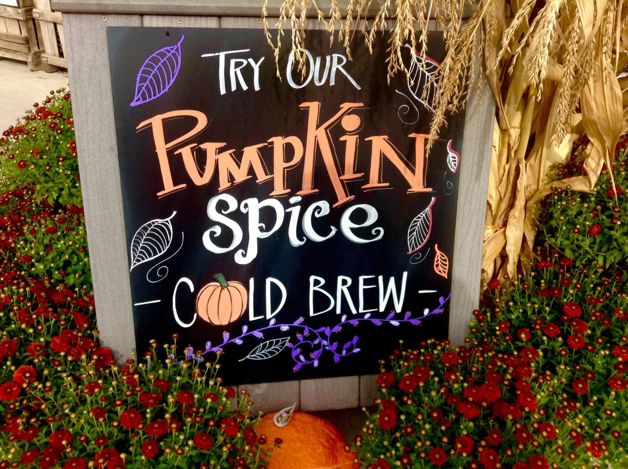 Five Reasons Miami Dolphins Fans Love Preseason Football