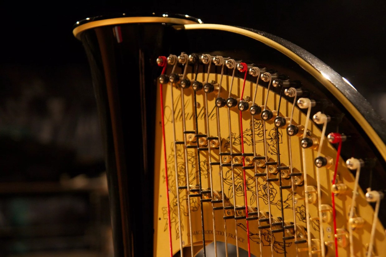 University of Miami Offers Nowhere Near Equal Pay for Women, Harpist Claims