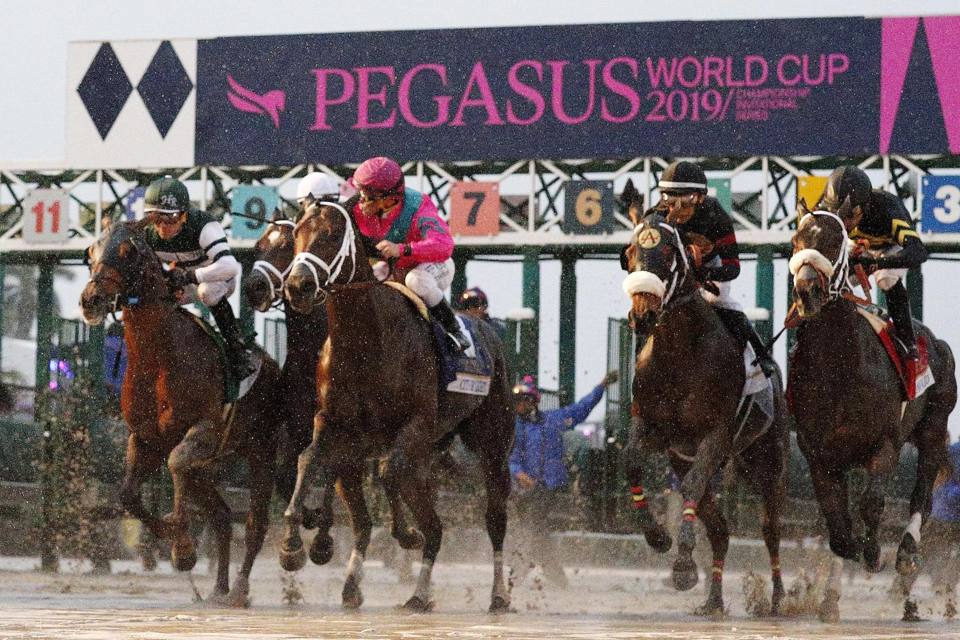 Horses racing on the track at the Pegasus World Cup