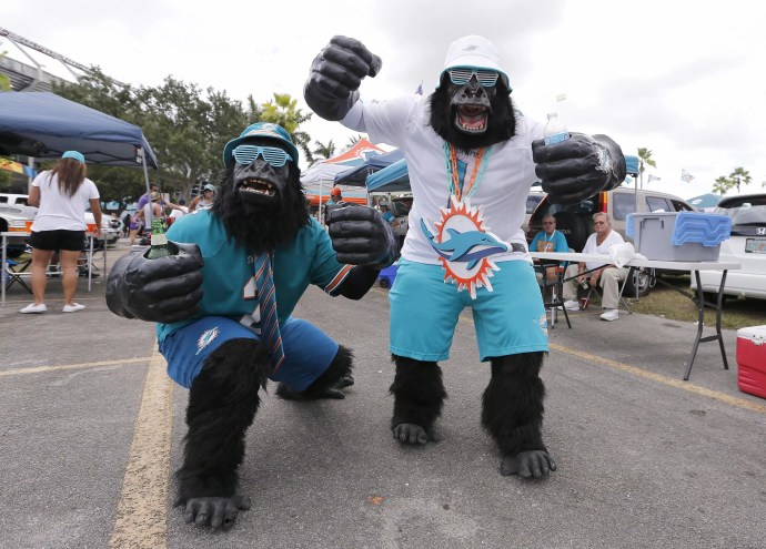Miami Dolphins fans dressed as apes