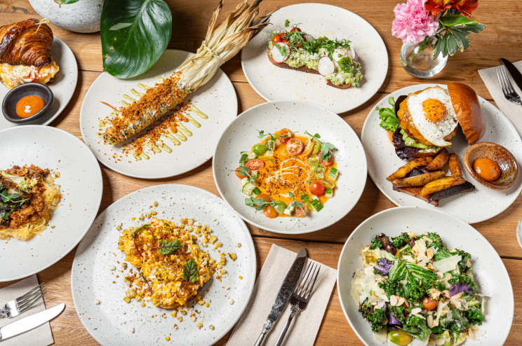 Dishes on white plates