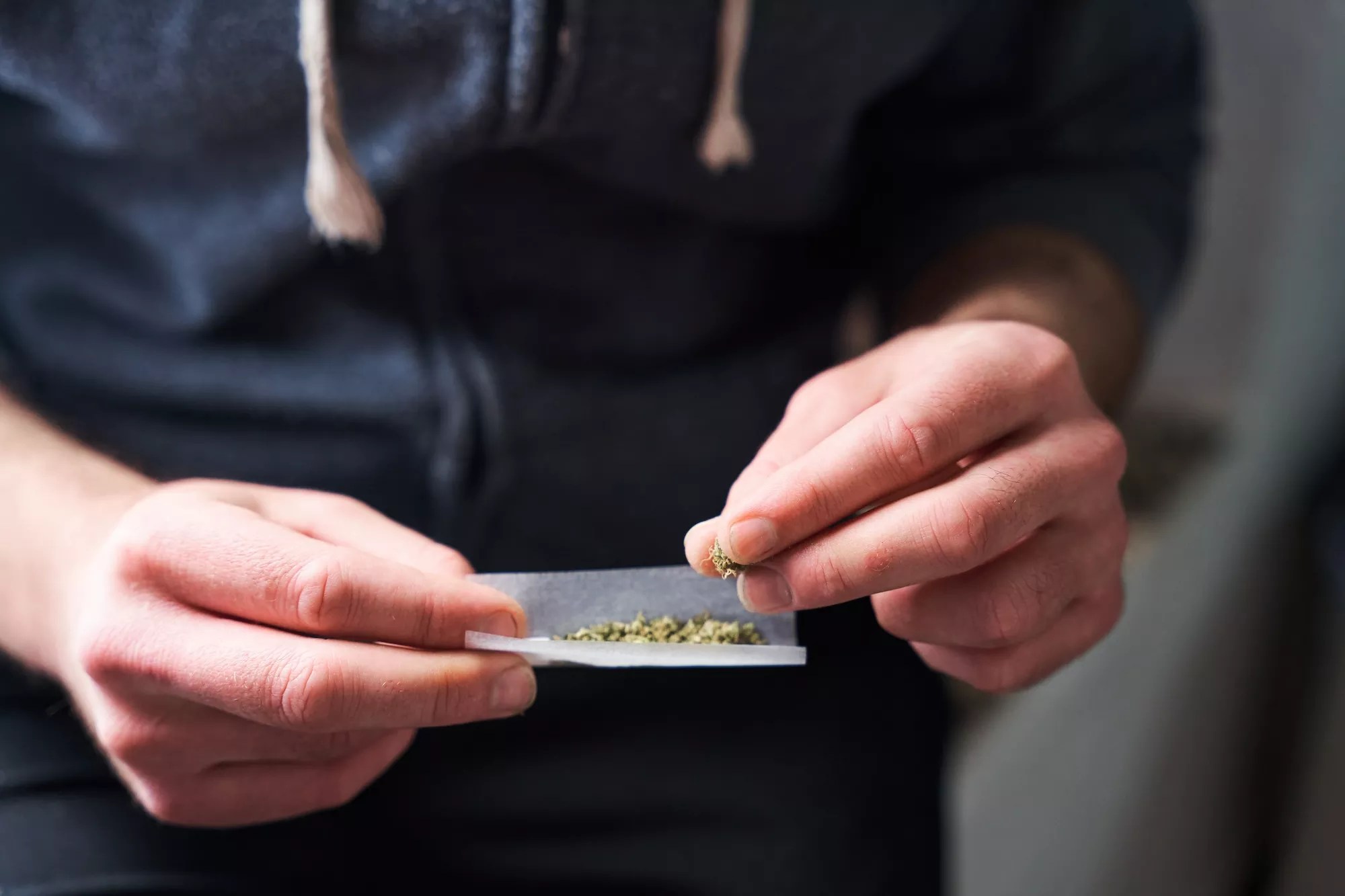 Fingers rolling a joint