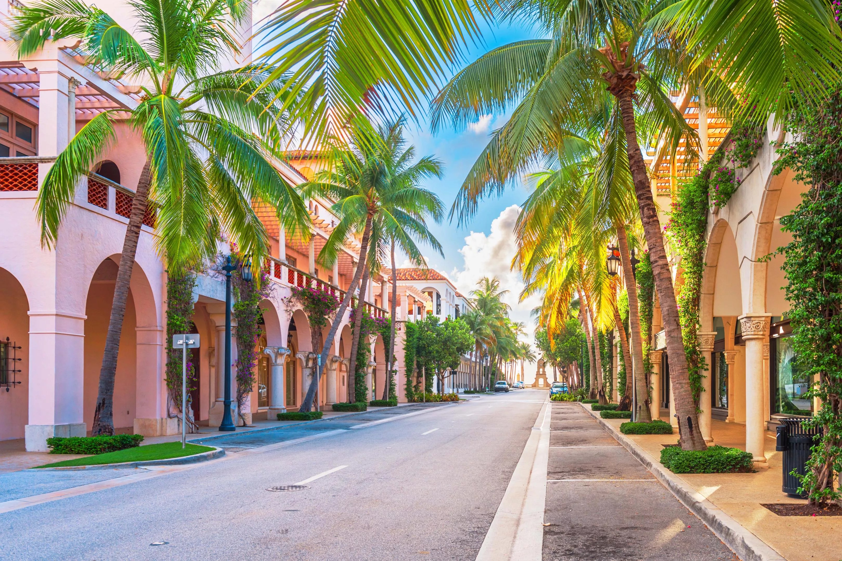 Palm-tree-lined ultra-posh commercial district in Palm Beach