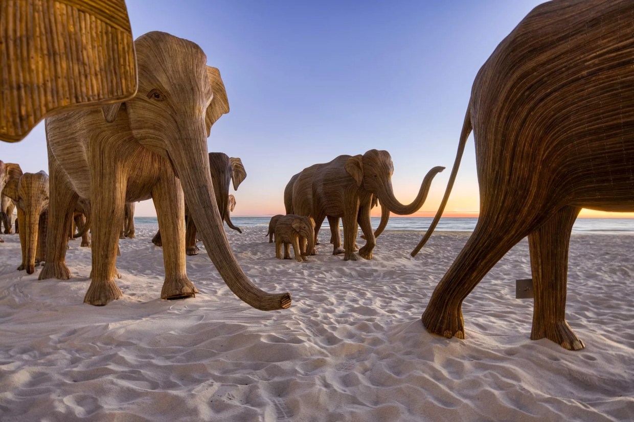 Elephant sculptures made out of wood on the sands of Miami Beach