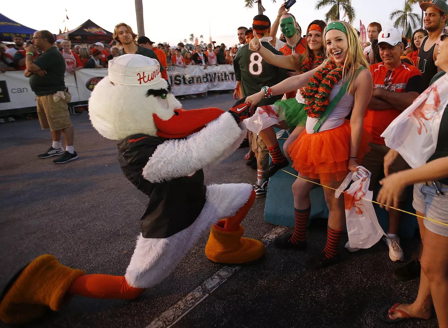 Sebastian the Ibis, the Miami Hurricanes mascot, proposes to a fan outside Sun Life Stadium prior to the game against the Florida State Seminoles on November 15, 2014 in Miami Gardens, Florida.
