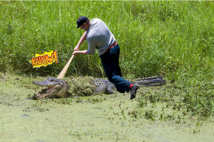 a man and a gator