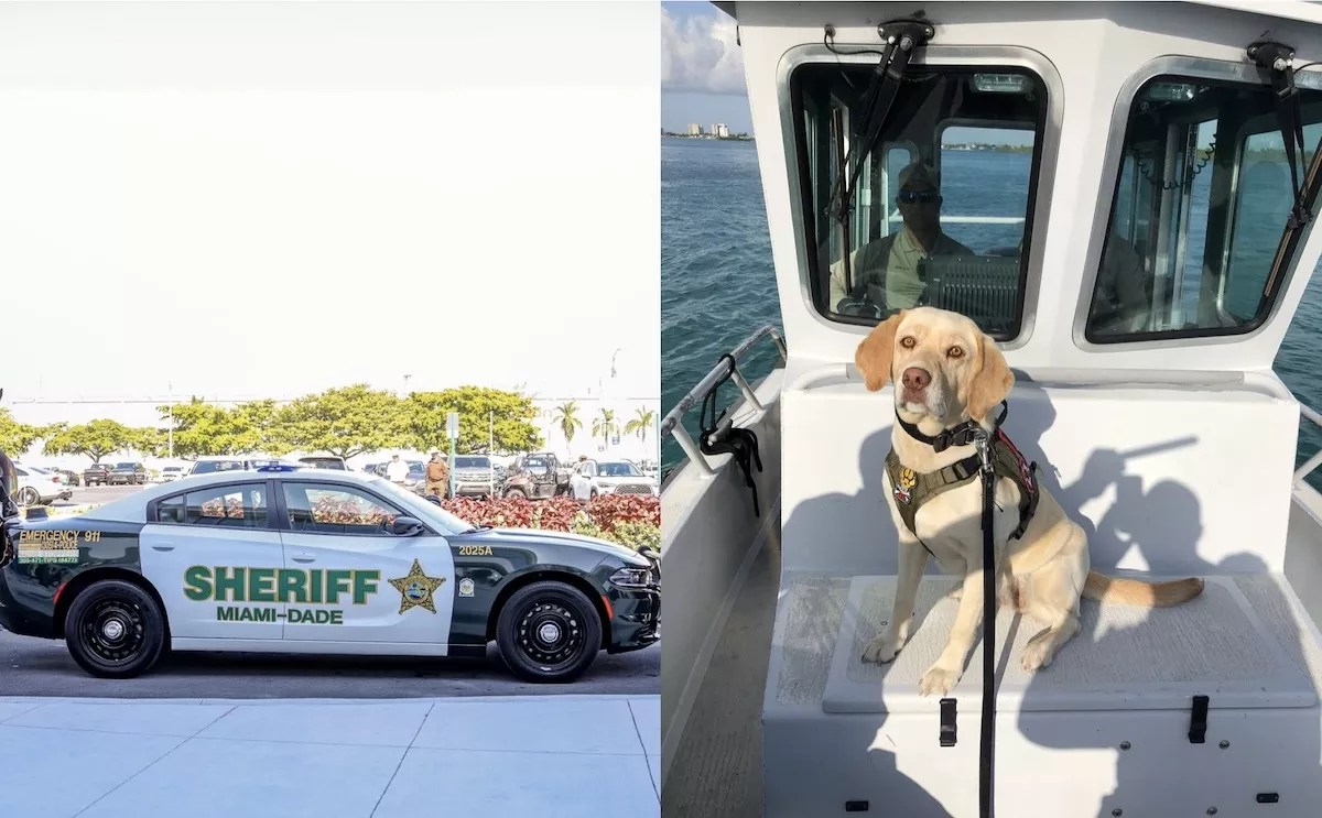 A photo collage with a Miami-Dade Sheriff's Office vehicle on the left and a police K-9 on the right.