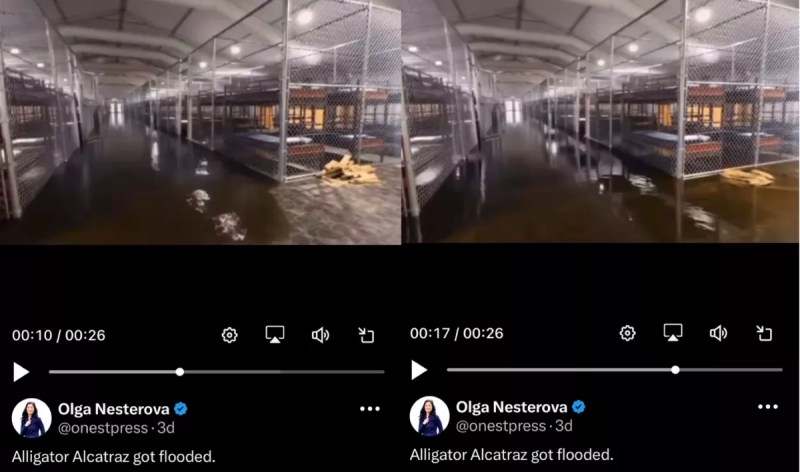 Screenshots of Olga Nesterova's post on X (formerly Twitter) with the likely AI-generated video of Alligator Alcatraz.