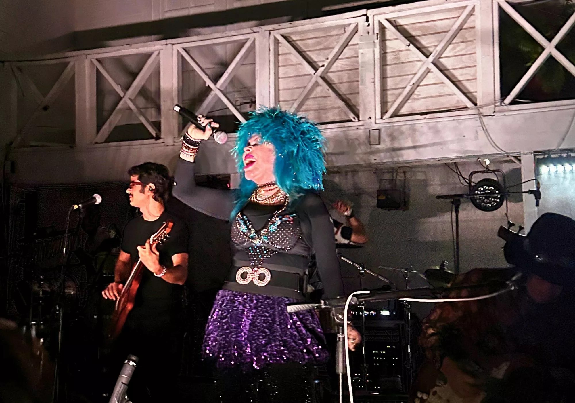 A woman with blue hair is singing on stage.