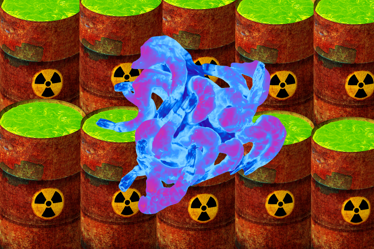 A photoshopped image of neon shrimp and radioactive bins
