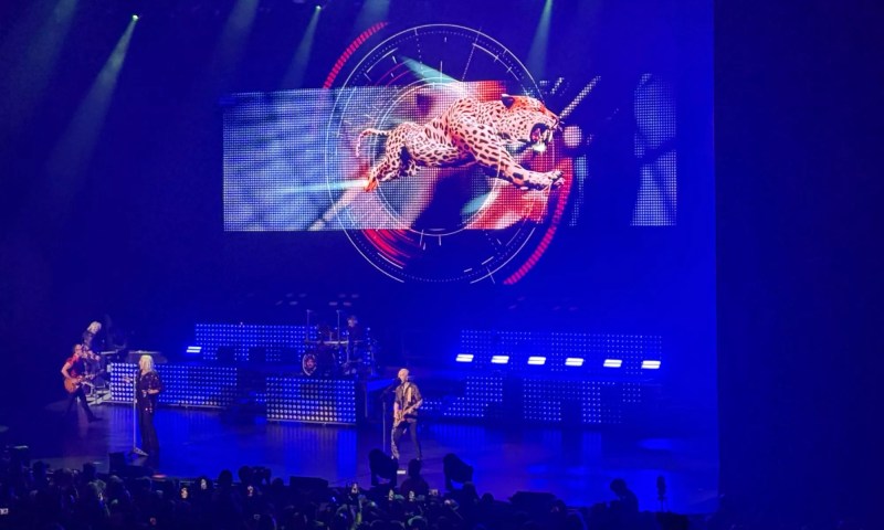 A picture of the band Def Leppard performing at the Hard Rock Live in front of a projection of a leppard.