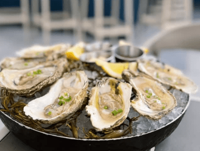Coral Gables' First Rooftop Bar Reopens With Oysters Tapas